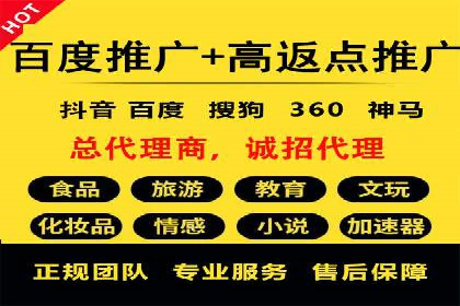 百度竞价排名实战：某行业领先企业的成功之路